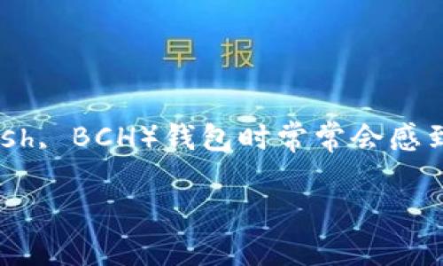 比特币现金钱包哪个好是一个热门话题，许多人在寻找适合自己的比特币现金（Bitcoin Cash, BCH）钱包时常常会感到困惑。在这篇文章中，我们将探讨各种比特币现金钱包的特点，帮助用户选择最合适的一款。

比特币现金钱包哪个好？2023年最全导购