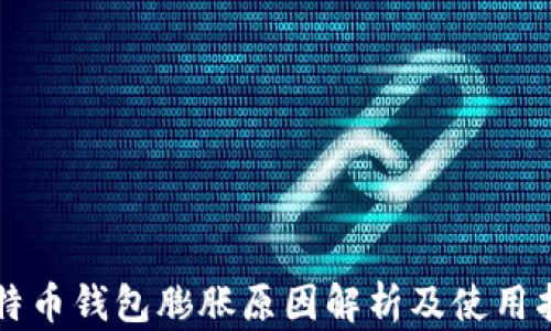
比特币钱包膨胀原因解析及使用指南