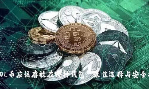 : SOL币应该存放在哪种钱包? 最佳选择与安全指南