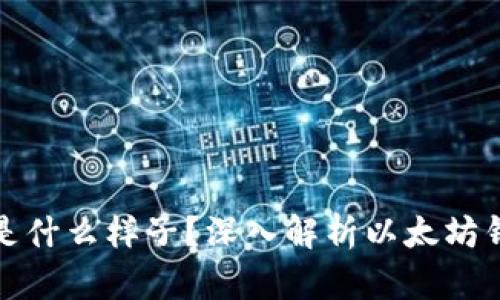 : 以太坊钱包是什么样子？深入解析以太坊钱包的多种类型