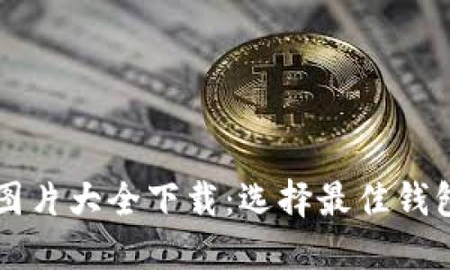 比特币钱包图片大全下载：选择最佳钱包的全面指南
