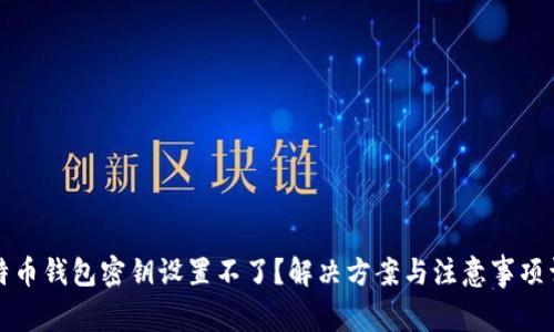 比特币钱包密钥设置不了？解决方案与注意事项详解