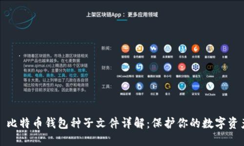 : 比特币钱包种子文件详解：保护你的数字资产