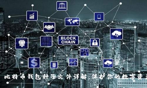 : 比特币钱包种子文件详解：保护你的数字资产