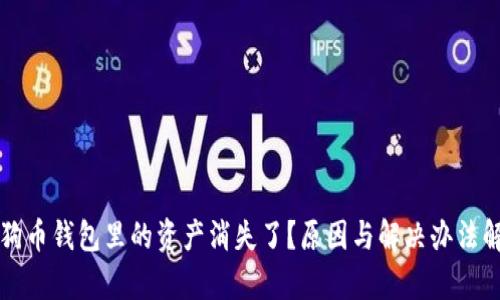 狗狗币钱包里的资产消失了？原因与解决办法解析