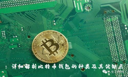 : 详细解析比特币钱包的种类及其优缺点