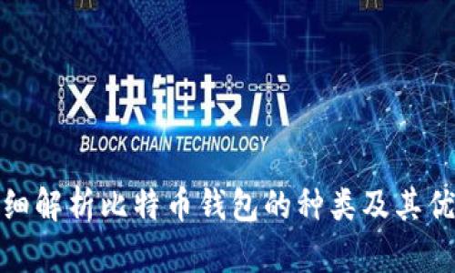 : 详细解析比特币钱包的种类及其优缺点