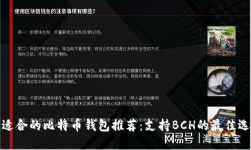 最适合的比特币钱包推荐：支持BCH的最佳选择