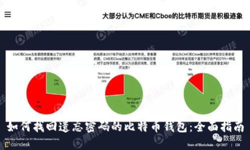 如何找回遗忘密码的比特币钱包：全面指南