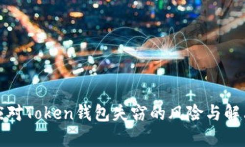 如何应对Token钱包失窃的风险与解决方案