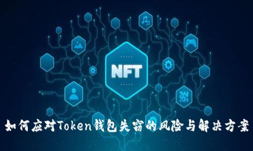如何应对Token钱包失窃的风险与解决方案