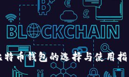 比特币钱包的选择与使用指南