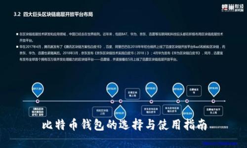 比特币钱包的选择与使用指南