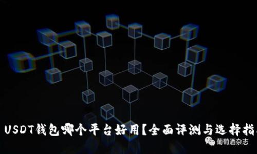 : USDT钱包哪个平台好用？全面评测与选择指南