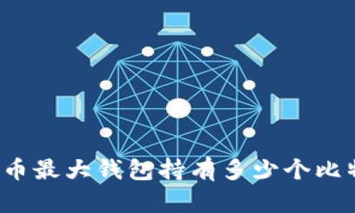 比特币最大钱包持有多少个比特币？