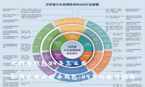 比特币钱包09年怎么用

如何使用比特币钱包：09年的操作指南