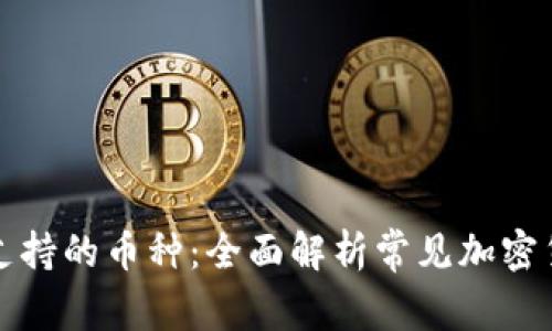 比特币钱包支持的币种：全面解析常见加密货币支持情况