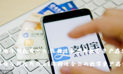 比特币电子钱包用什么：选择适合你的数字资产存储方案

比特币电子钱包用什么？选择适合你的数字资产存储方案
