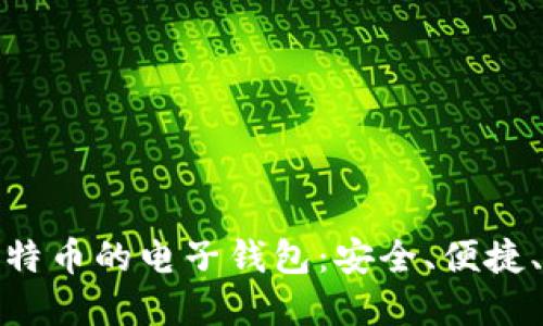 : 能装比特币的电子钱包：安全、便捷、选择指南