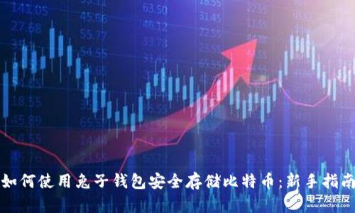 如何使用兔子钱包安全存储比特币：新手指南
