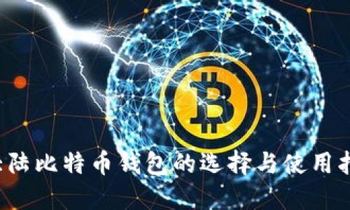  大陆比特币钱包的选择与使用指南