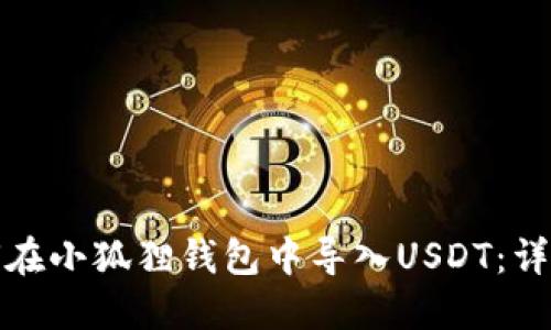 : 如何在小狐狸钱包中导入USDT：详细指南