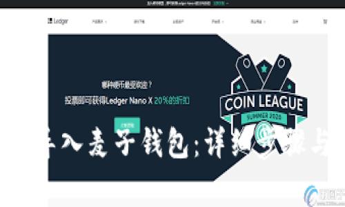 如何将SOL钱包导入麦子钱包：详细步骤与常见问题解答