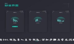 如何将SOL钱包导入麦子钱包：详细步骤与常见问