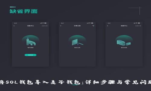 如何将SOL钱包导入麦子钱包：详细步骤与常见问题解答