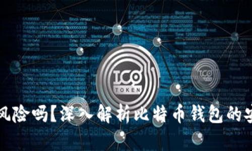 比特币存钱包有风险吗？深入解析比特币钱包的安全性与风险管理