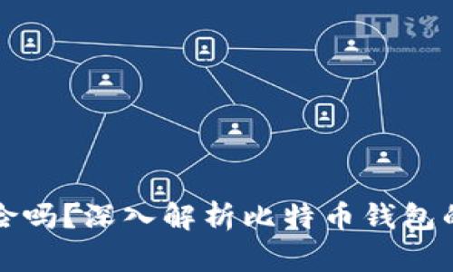 比特币存钱包有风险吗？深入解析比特币钱包的安全性与风险管理