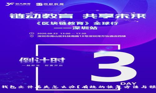 以太坊钱包文件丢失怎么办？有效的恢复方法与预防措施