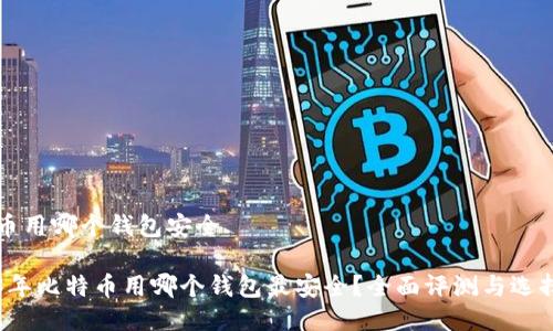 比特币用哪个钱包安全

2023年比特币用哪个钱包最安全？全面评测与选择指南