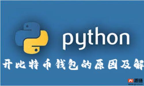 无法打开比特币钱包的原因及解决方案