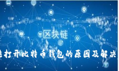 无法打开比特币钱包的原因及解决方案