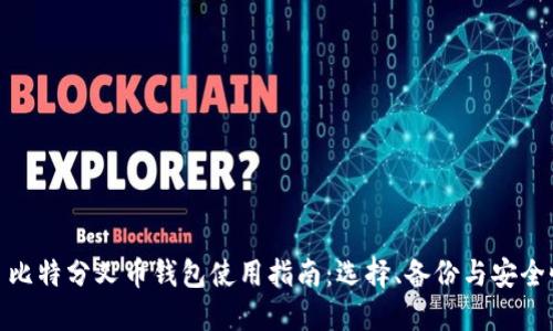 : 比特分叉币钱包使用指南：选择、备份与安全性