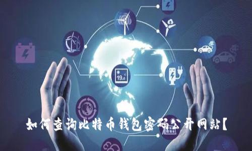 如何查询比特币钱包密码公开网站？