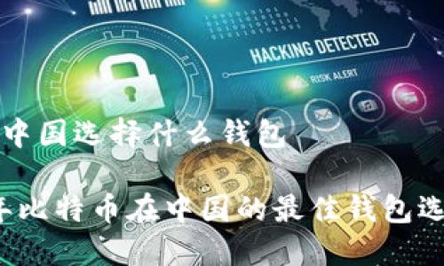 比特币中国选择什么钱包

2023年比特币在中国的最佳钱包选择指南