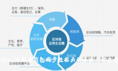 beitiao比特币钱包同步数据大的原因及解决方案