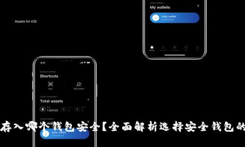 屎币存入哪个钱包安全?全面解析选择安全钱包的方法