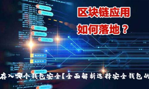 屎币存入哪个钱包安全？全面解析选择安全钱包的方法