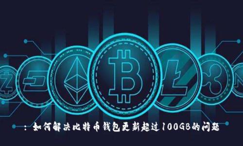 : 如何解决比特币钱包更新超过100GB的问题