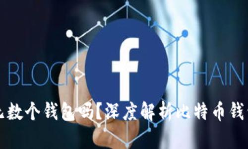 比特币可以有无数个钱包吗?深度解析比特币钱包的种类与管理