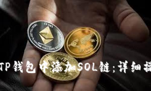 如何在TP钱包中添加SOL链：详细操作指南