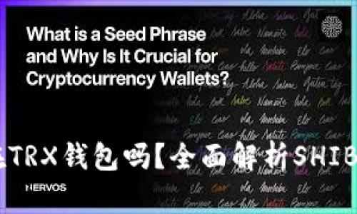 SHIB币能放在TRX钱包吗？全面解析SHIB币的存储选择