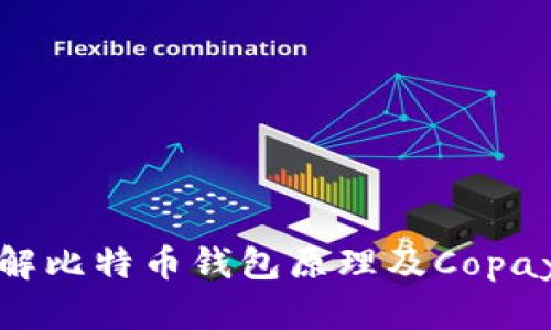 : 深入了解比特币钱包原理及Copay使用指南