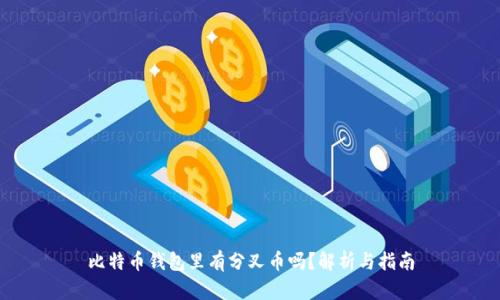 比特币钱包里有分叉币吗？解析与指南