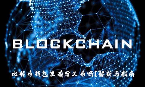 比特币钱包里有分叉币吗?解析与指南