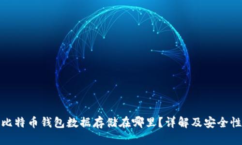 比特币钱包数据存储在哪里？详解及安全性