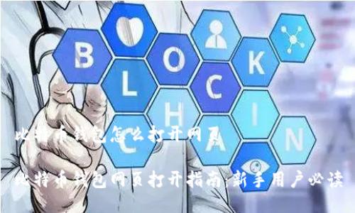 比特币钱包怎么打开网页

比特币钱包网页打开指南：新手用户必读
